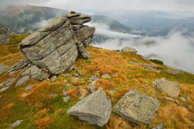 Karpat Dağları taşları