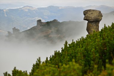 Karpat Dağları taşları