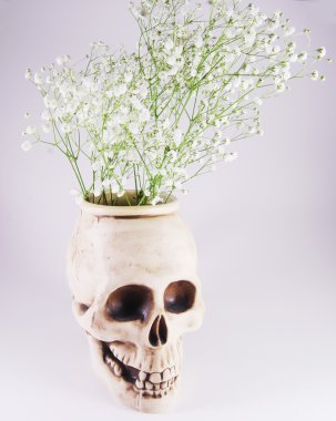 Vazoda Çiçekler için