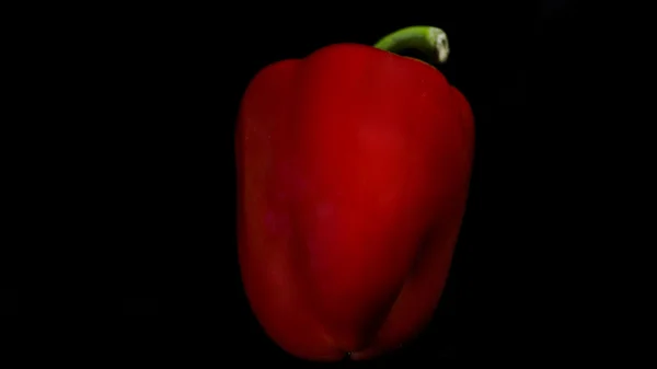 Roter frischer Paprika — Stockfoto
