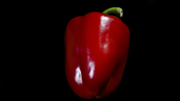 Verse rode paprika — Stockfoto