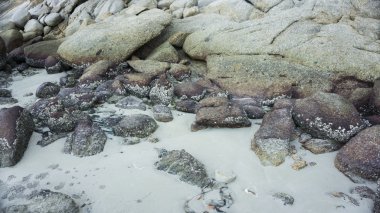 Güzellik beach taşlar