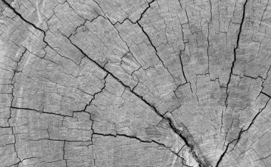 ahşap tahta ile kırık, duvar kağıdı