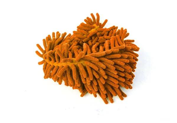 Poussoir en microfibre marron comme cheveux isolés sur blanc — Photo