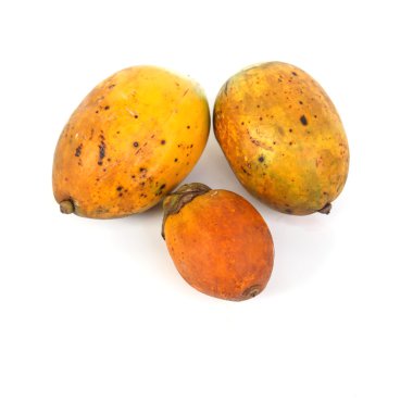 areka-somun beyaz arka plan üzerinde