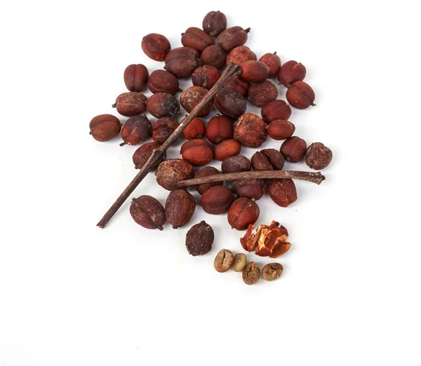 Dried berries coffee beans isolated on a white background Stock Picture