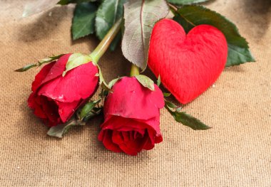 Kırmızı gül, aşk, Sevgililer kavramı.