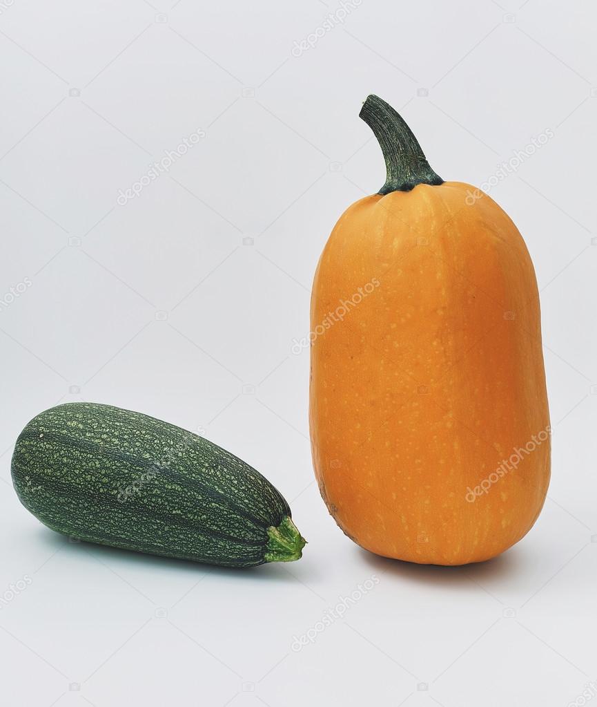 Why is a pumpkin useful? 92 Why is a pumpkin useful? 97