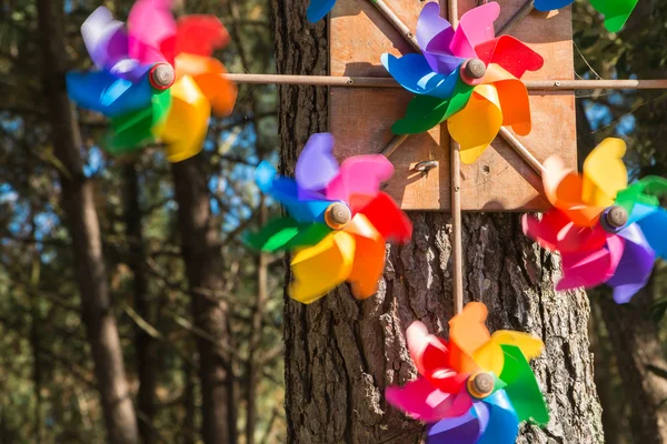 Windmill toy hanging from a tree — Stok fotoğraf