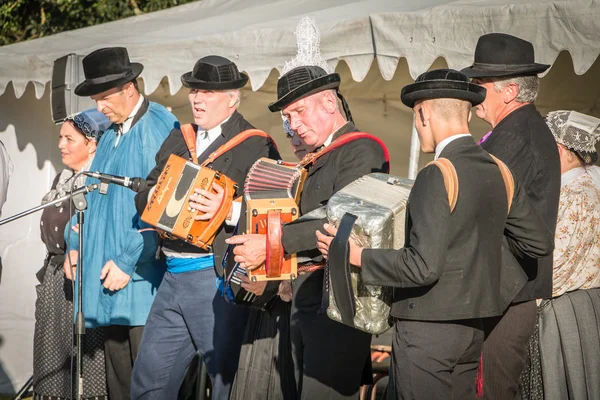 Acordeonista tradicional del oeste de Francia —  Fotos de Stock