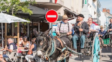 şehrin sokaklarında bir eşek tarafından çekilen antika sepeti