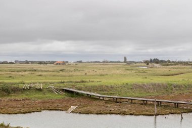 Fransa 'da bir sonbahar günü Vendee kırsalının manzarası