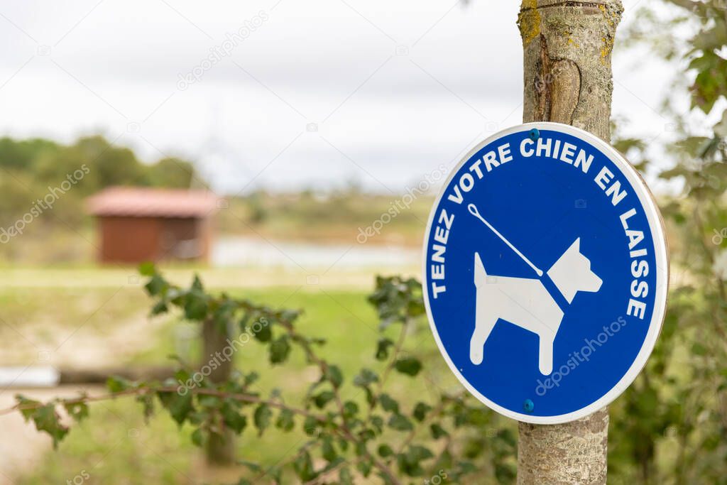 blue sign in the countryside authorizing the walking of dogs with leash