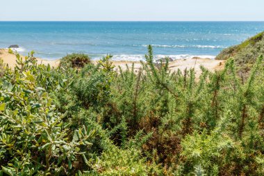 Pointe du Payre plajı manzarası, Jard sur Mer, Fransa, Vendee, Fransa