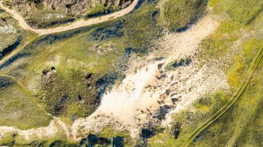 Fransa 'nın Bretignolles sur Mer kentindeki Sauzaie plajı yakınlarındaki kum tepelerinde. İnsansız hava aracı ile hava görüntüsü
