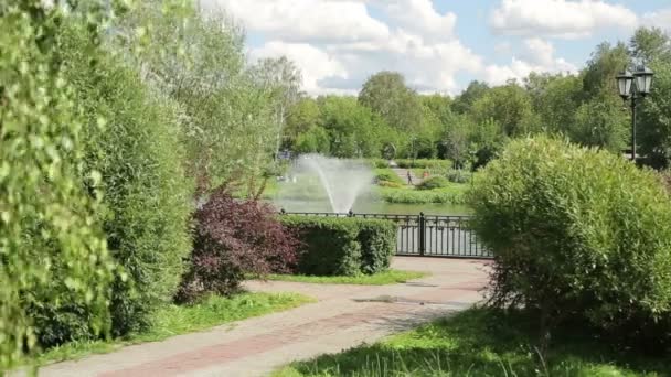 Fontänen i dammen. Parken med en sjö, där en fontän. — Stockvideo