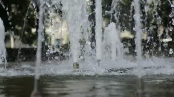 City fountain in the park — Stock Video