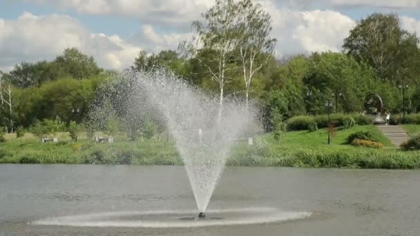 池の噴水。公園、湖のある場所の噴水. — ストック動画