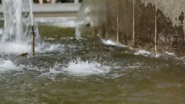 Fuente de la ciudad en el parque — Vídeo de stock