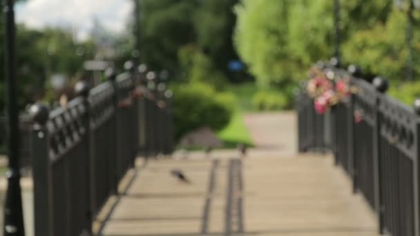 A small wooden bridge with locks in the city during the day — Stock Video