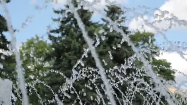 Stadtbrunnen im Park — Stockvideo