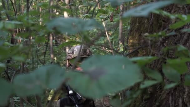 Les armes militaires sont dans les bois. Le soldat se déplace dans la forêt. Homme armé . — Video