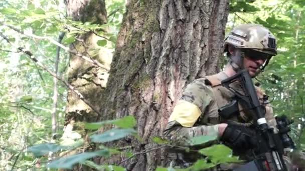 Les armes militaires sont dans les bois. Le soldat se déplace dans la forêt. Homme armé . — Video