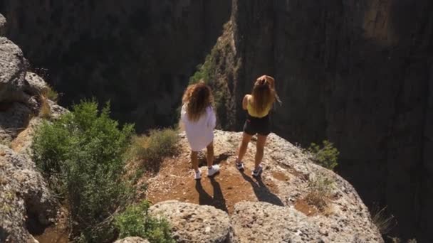 Amici in piedi sulla roccia guardando il divario tra le vecchie montagne — Video Stock