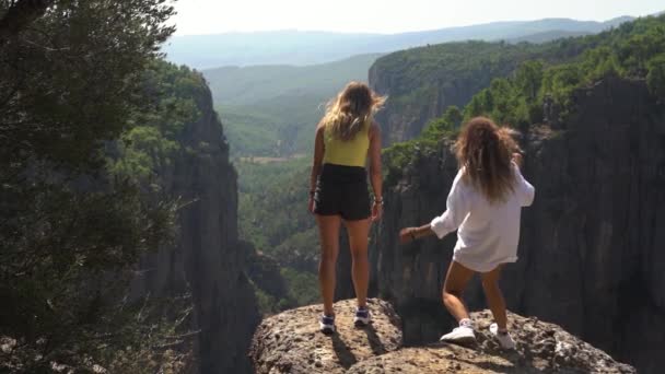 Caminhantes apreciam a vista de montanhas antigas em pé sobre pedras — Vídeo de Stock