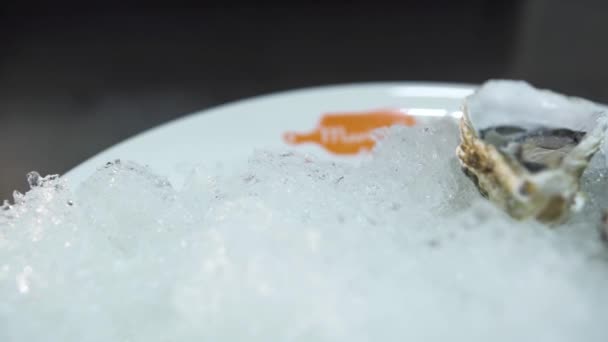 Empleado pone ostras sabrosas en gran pila de hielo picado — Vídeo de stock