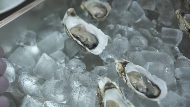 Chef coloca deliciosas ostras marinhas cruas no prato grande — Vídeo de Stock