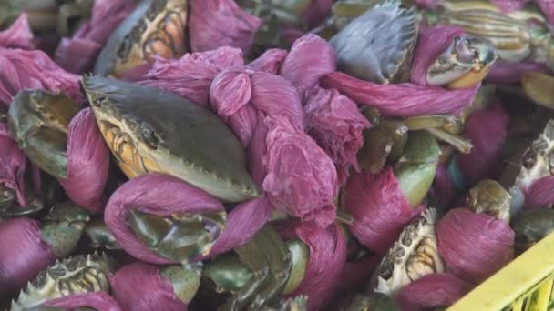 Świeże surowe kraby owinięte różową folią w plastikowym pojemniku — Wideo stockowe
