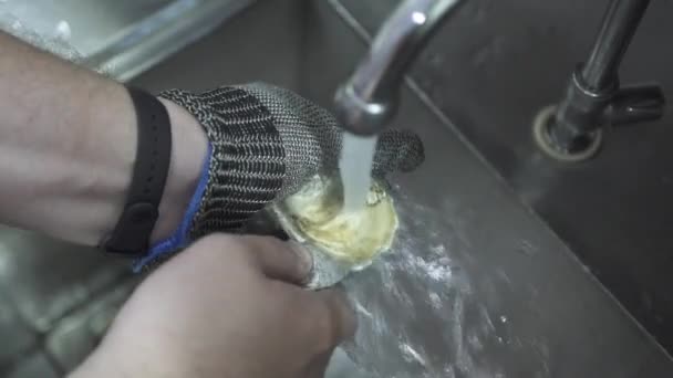 Człowiek w metalowej rękawicy myje i otwiera skorupę ostryg wodą — Wideo stockowe
