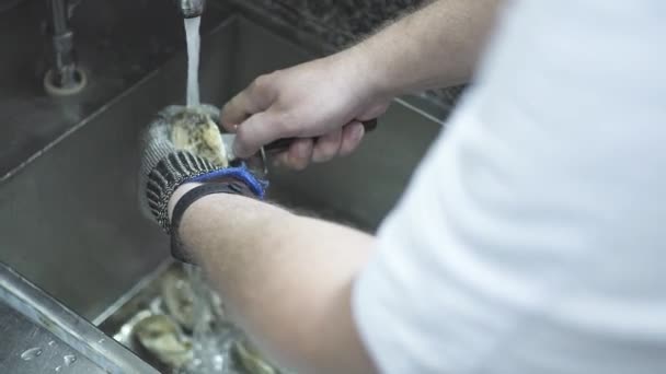 Chef abre ostra con cuchillo bajo agua corriente sobre fregadero — Vídeos de Stock