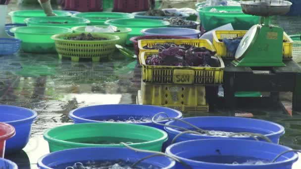 Mujer comprueba cuencos con cangrejos vivos y langostas en el mercado — Vídeo de stock