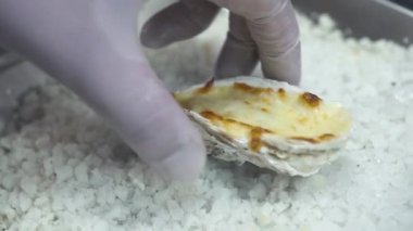 Aşçı, farklı lezzetlerde pişirilmiş istiridye yer.