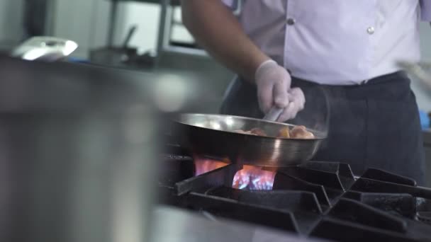 Şef, deniz ürünleri restoranında ocakta ahtapot pişiriyor. — Stok video
