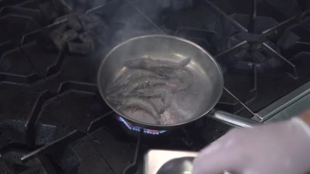 Pessoa coloca camarões reais crus na frigideira no fogão — Vídeo de Stock