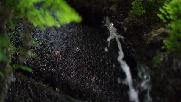 Liten vattenström med vitt solljus reflektioner faller — Stockvideo