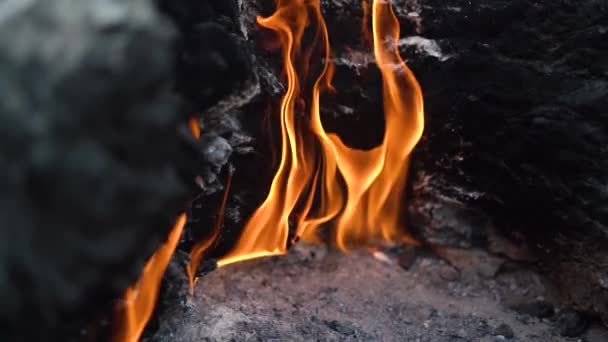 Einzigartiges loderndes Feuer auf türkischem Chimaera-Berg — Stockvideo