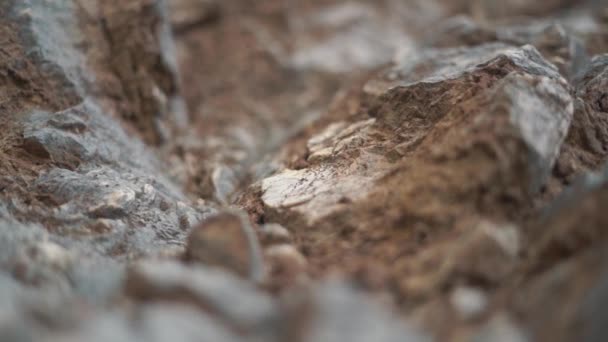 Superficie rocosa que se extiende sobre la ladera de la montaña Chimaera — Vídeo de stock