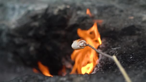 Bâton de guimauve rôtissant sur les flammes à flanc de colline — Video