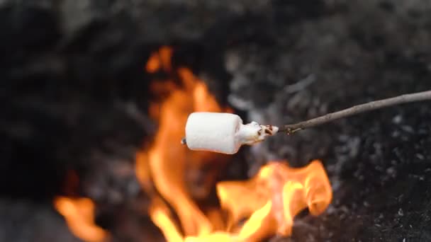 Marshmallow arrostendo su bastone sopra fuoco di montagna unico — Video Stock