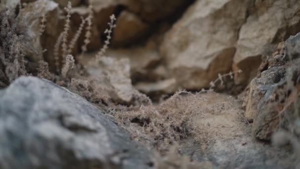Pequenas pedras marrons escuras na lendária inclinação do pico da Turquia — Vídeo de Stock