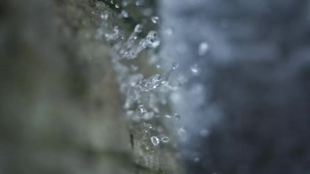 Small transparent water drops fall into blurred lake — Stock Video