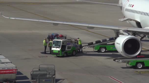 Luggage service workers put suitcases on baggage transporter — Stock Video