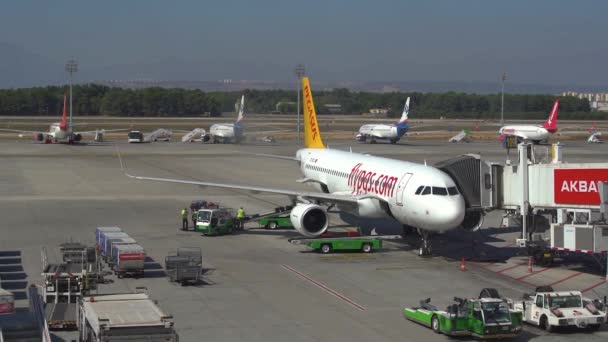 Transporte especial del aeropuerto rodea jet liner en delantal — Vídeos de Stock