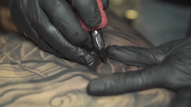 Tatuaje experimentado artista colores persona de vuelta en negro — Vídeo de stock