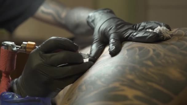 Skilled tattooist in disposable gloves applies black image — Stock Video