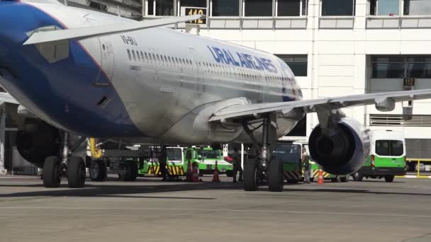 Pesawat penumpang yang luar biasa dengan logo maskapai biru besar — Stok Video